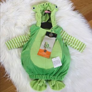 Infant Green Turtle Custome